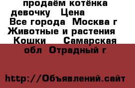 продаём котёнка девочку › Цена ­ 6 500 - Все города, Москва г. Животные и растения » Кошки   . Самарская обл.,Отрадный г.